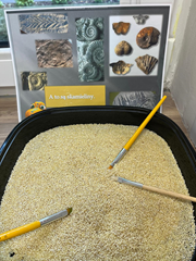 Zajęcia sensoryczne