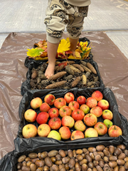 Aktywności Biedronki